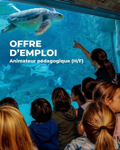 OE Biarritz