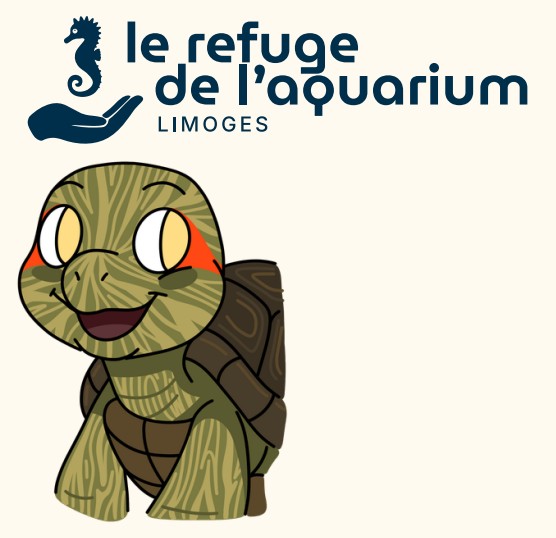 Refuge Limoges