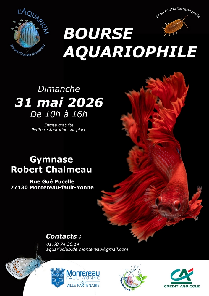 0531 Montereau