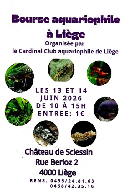 0613 Liege