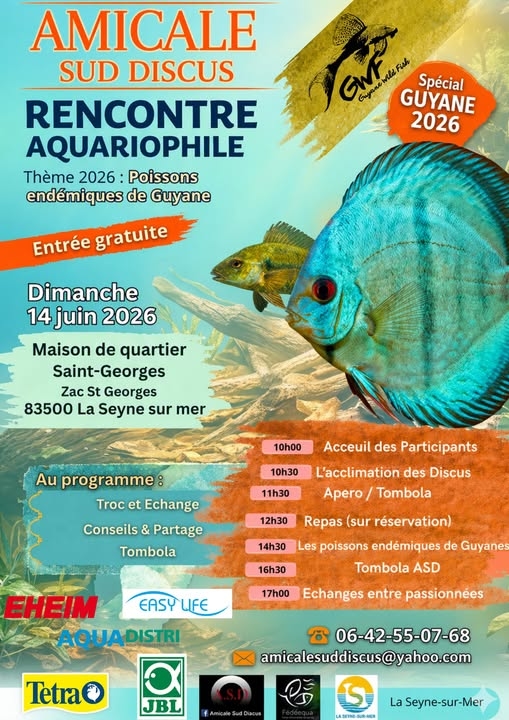 0614 ASDiscus