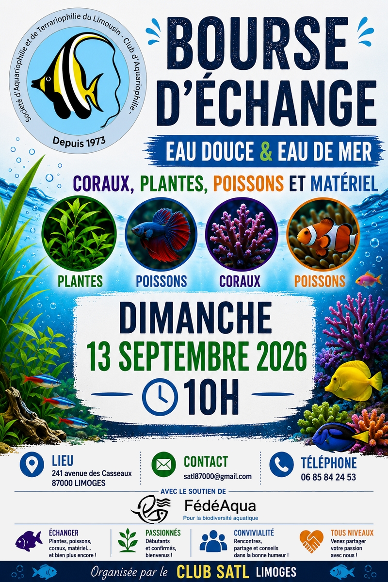 0913 Limoges