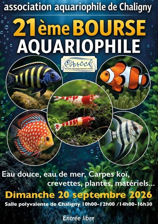0920 Chaligny