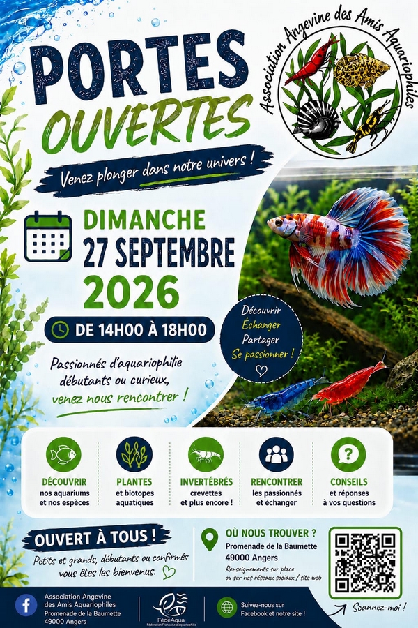 0927 Angers