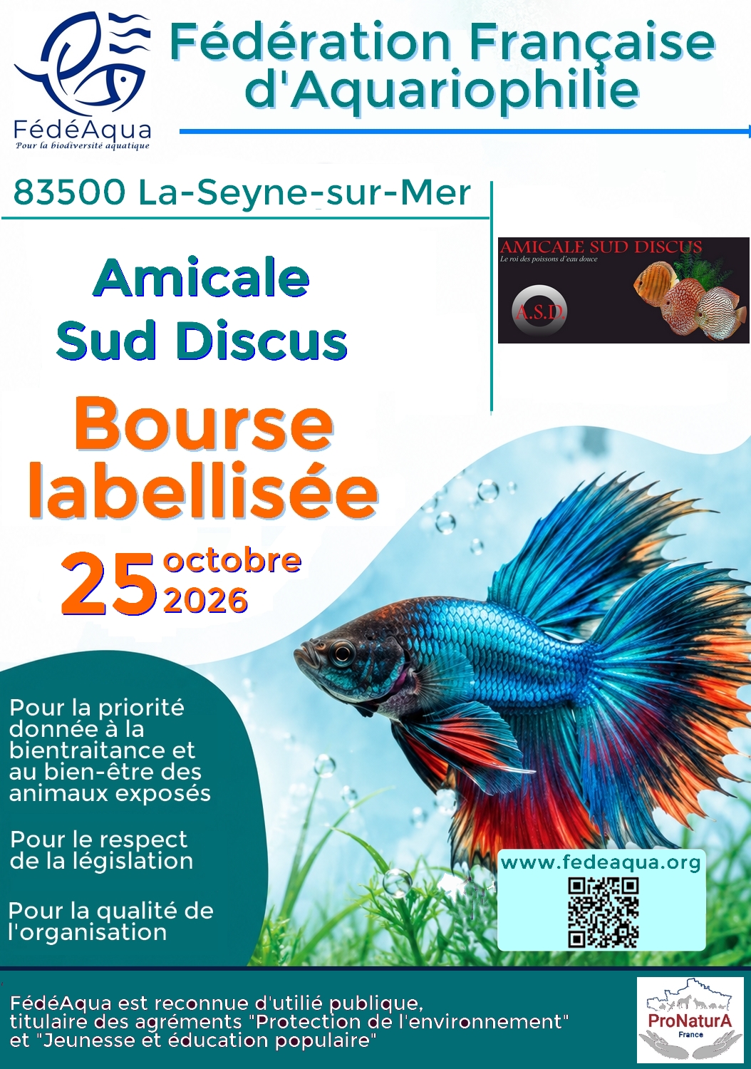 Amicale Sud Discus