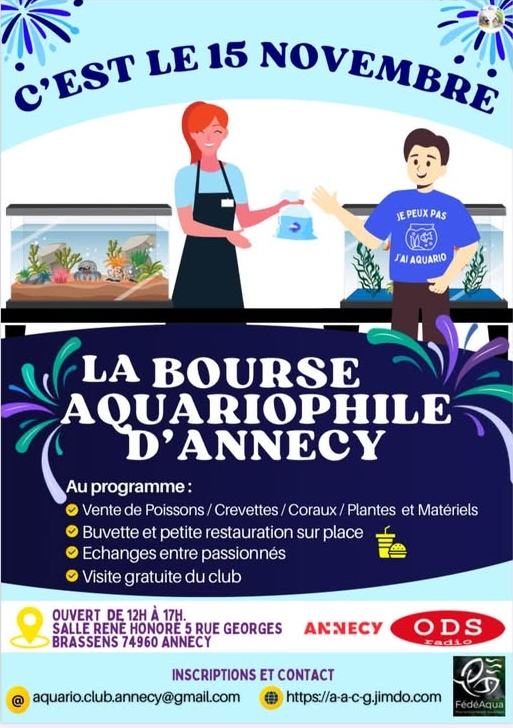 1115 Annecy