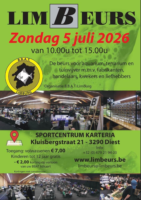 2026 0705 BBAT