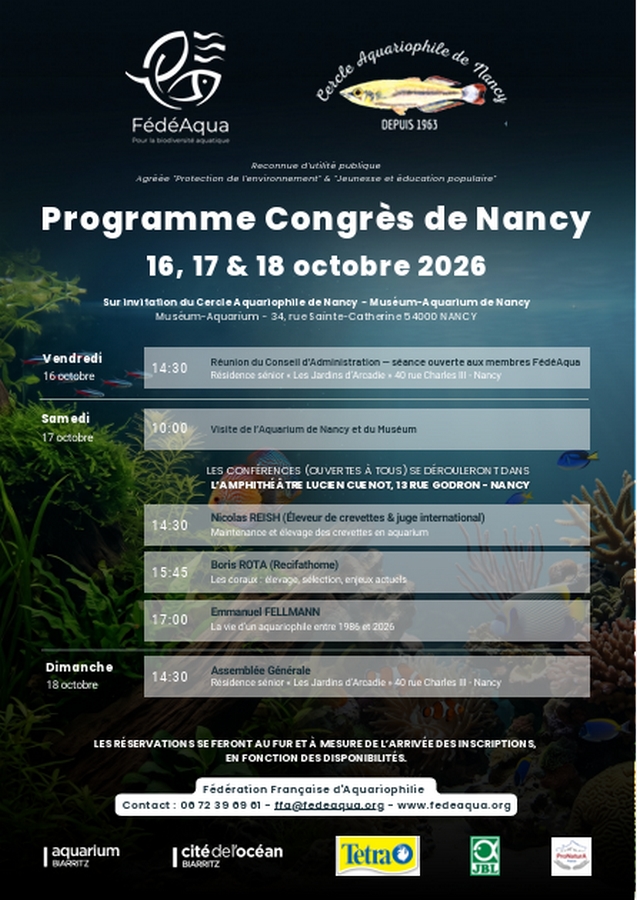 Affiche Nancy