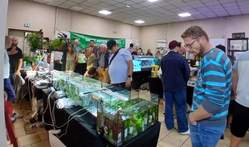 Bourse SAPA