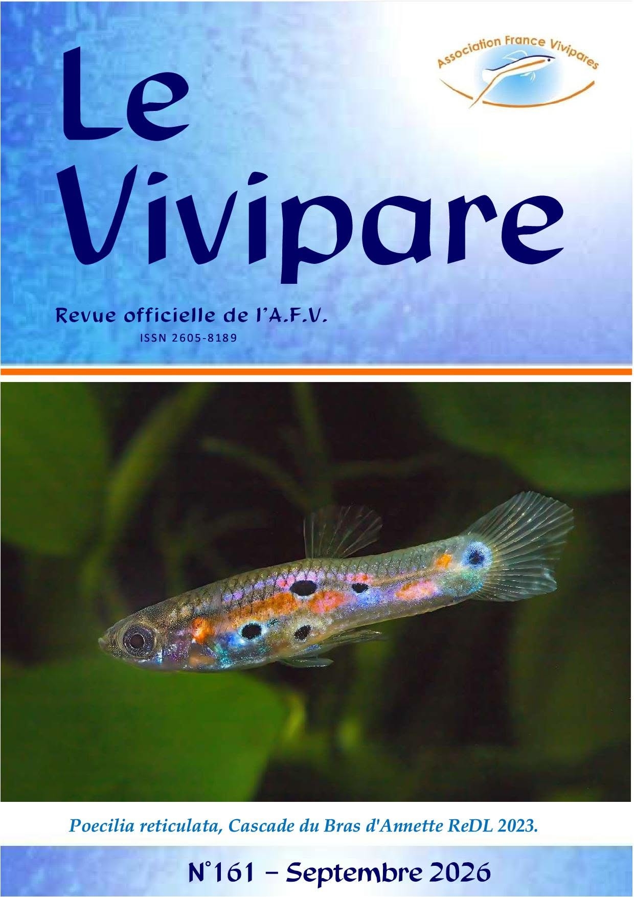 Vivipare159