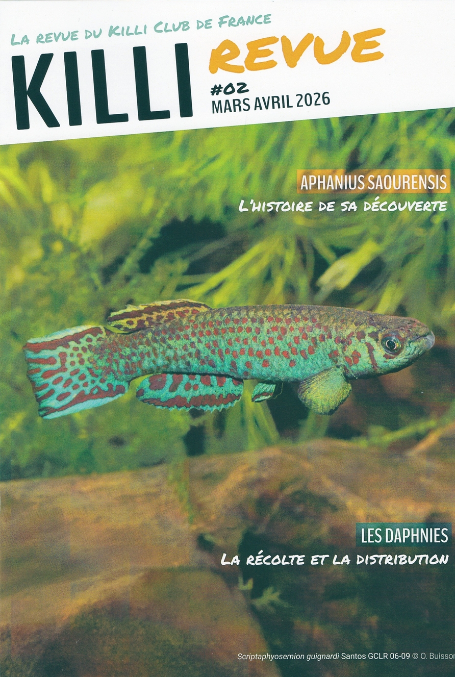 KR0126