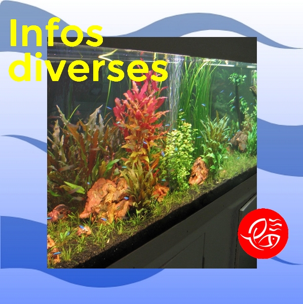 Article divers