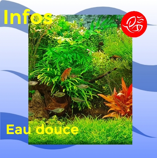 Article eau douce