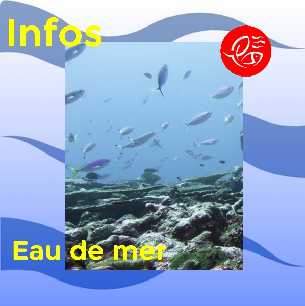 InfosEauDeMer