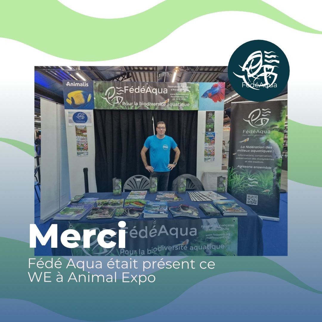 Animal expo Fred