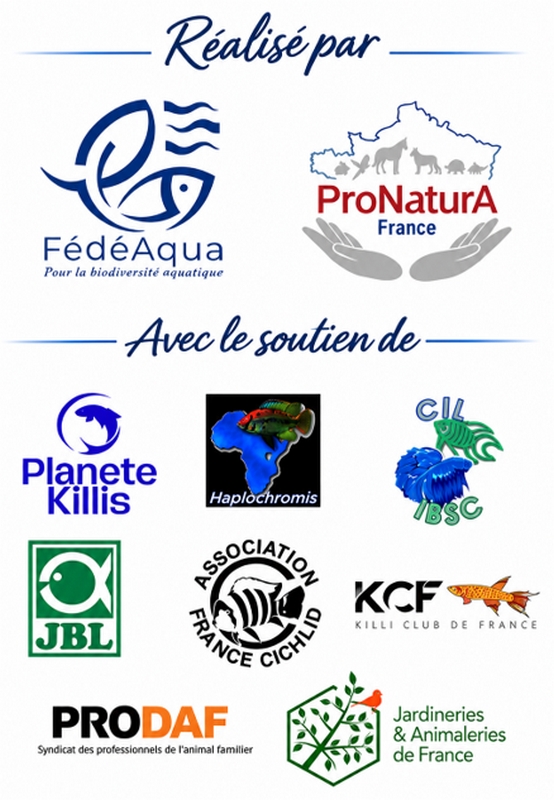 Logos soutiens