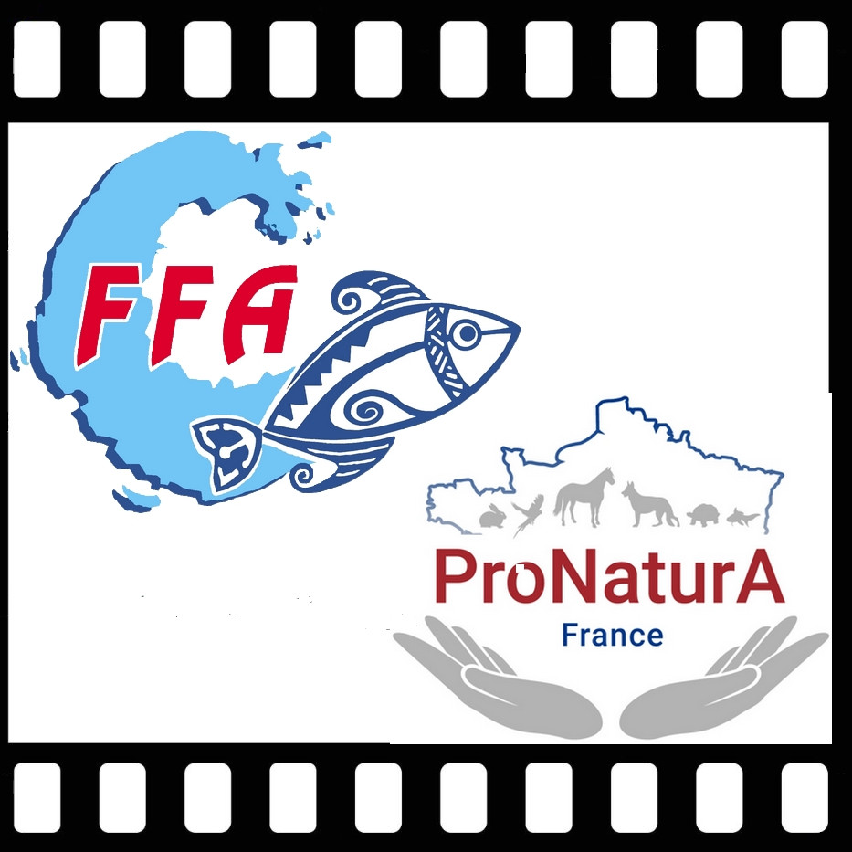 Siap Résultats Des Opérations De Promotion 2022